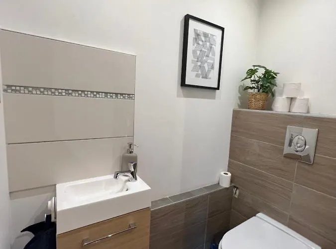 Confort Proche Gare Et Centre Apartment Straßburg