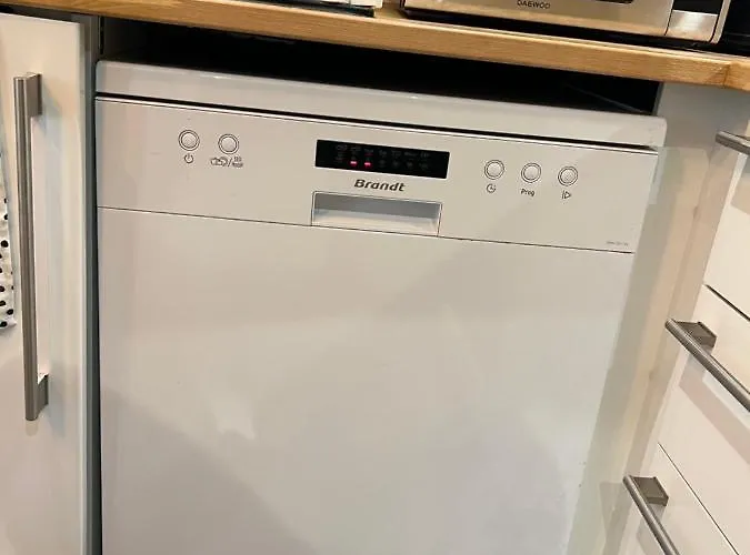 Apartment Confort Proche Gare Et Centre Straßburg