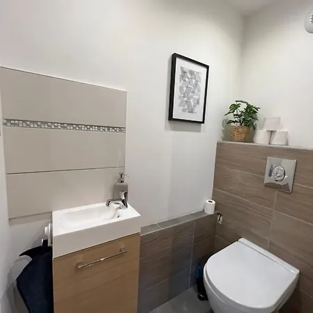 Confort Proche Gare Et Centre アパート ストラスブール